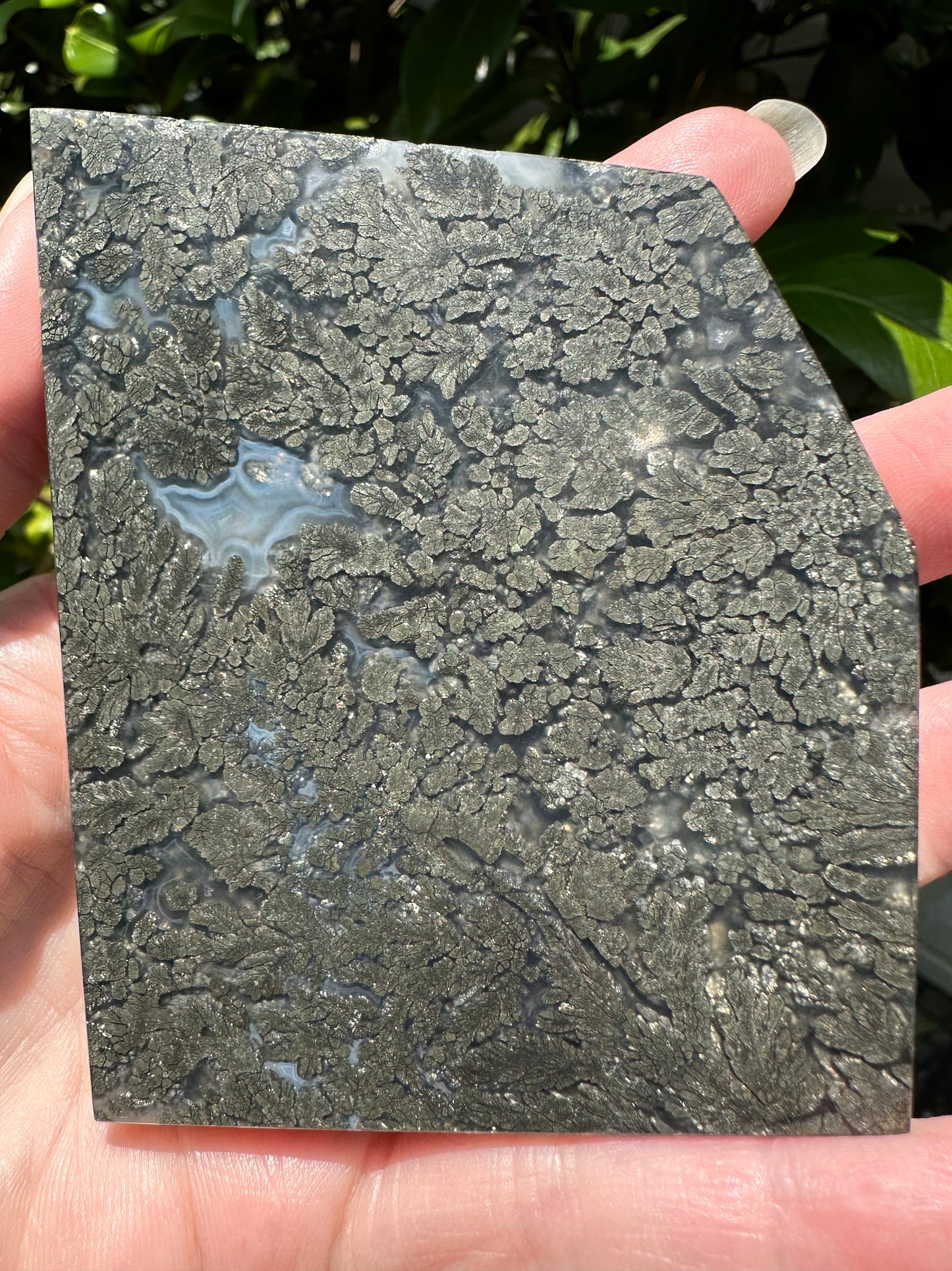 Free Form Pyrite Flowers Symbiosis Mixed Agate Slab #3