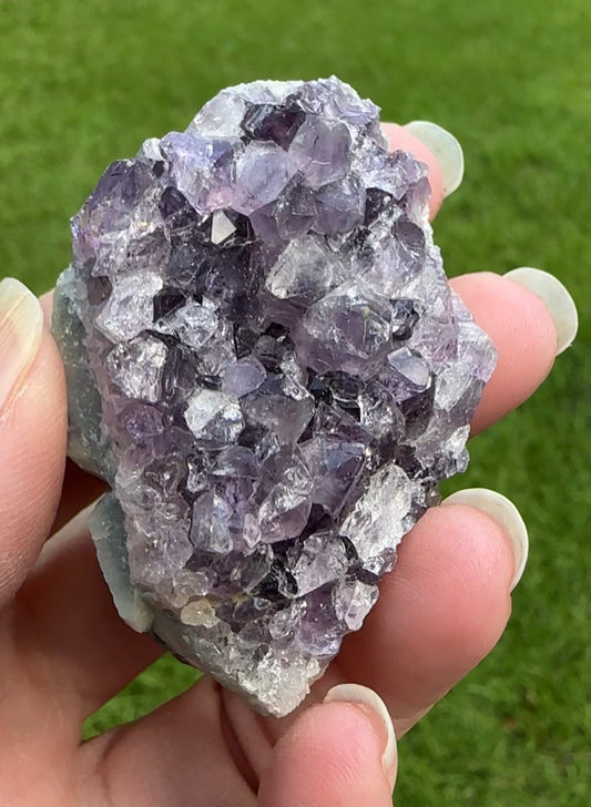 Amethyst Cluster Specimen #4