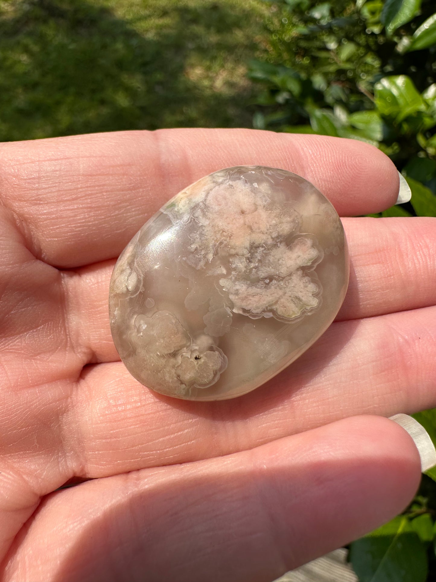 Flower Agate Palm Stone