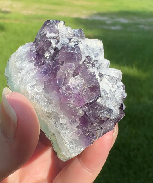 Amethyst Cluster Specimen #22