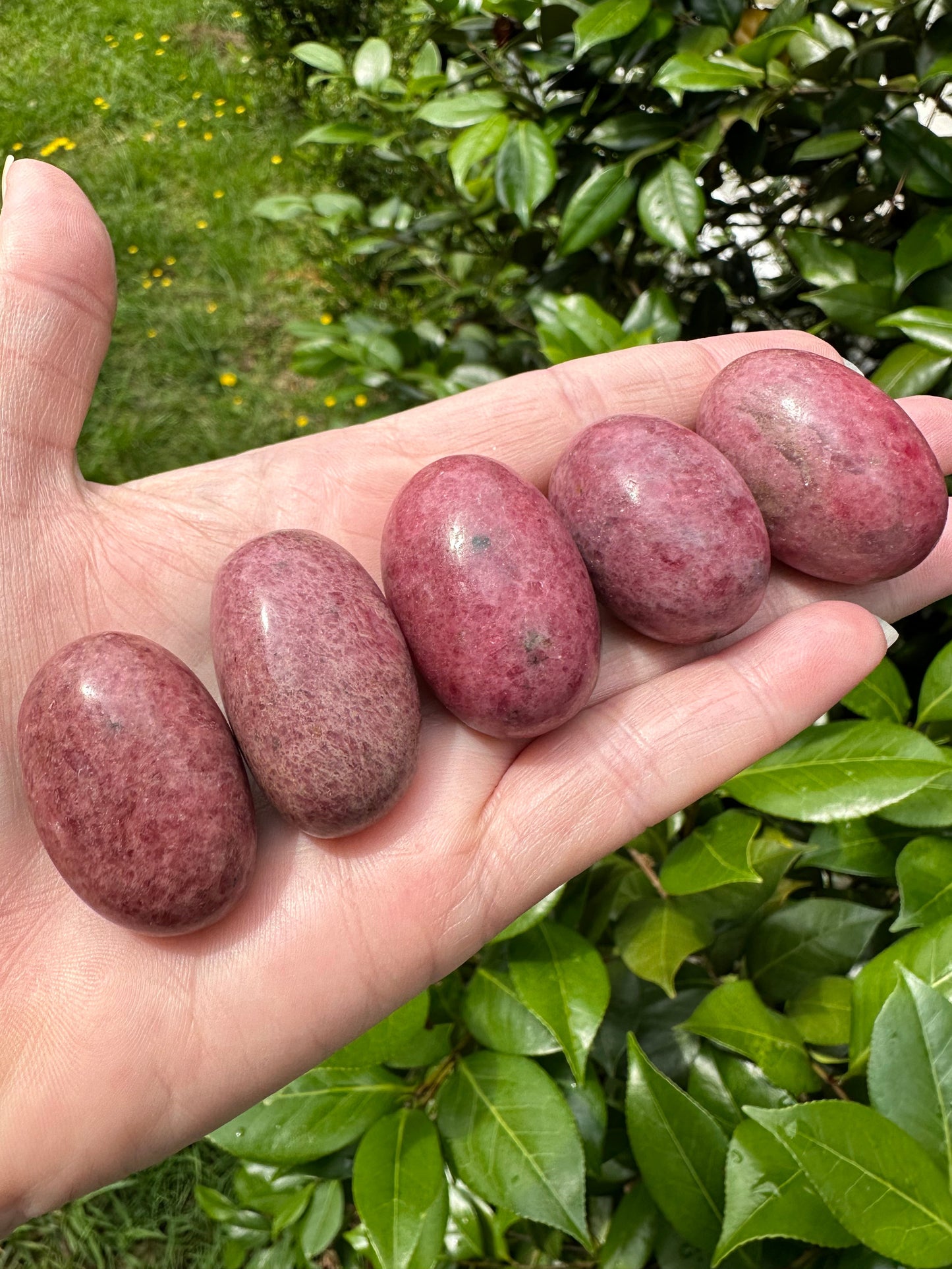 Rich Pink Rhodonite Tumbles