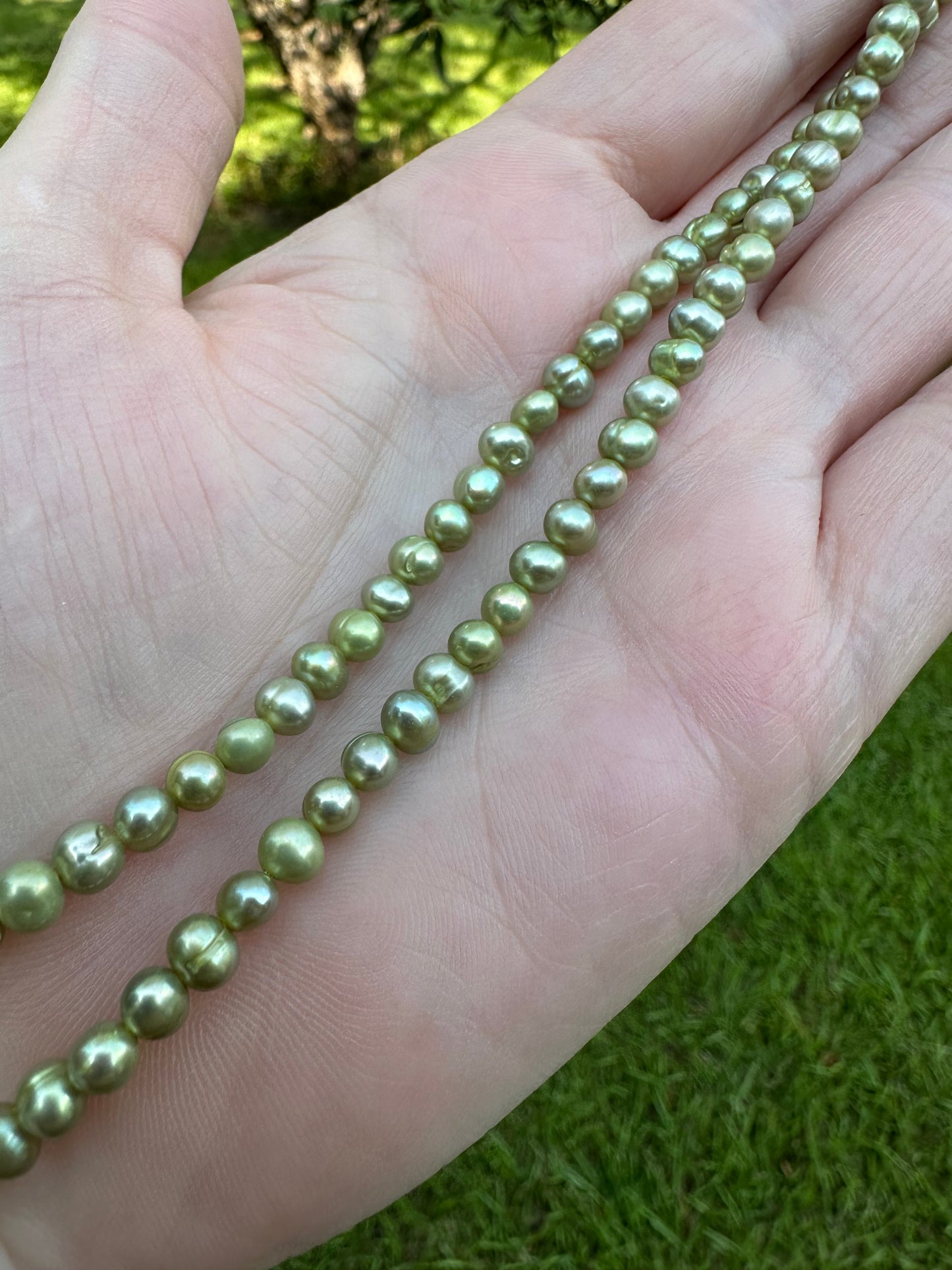 Lime Freshwater Pearl Strand #11