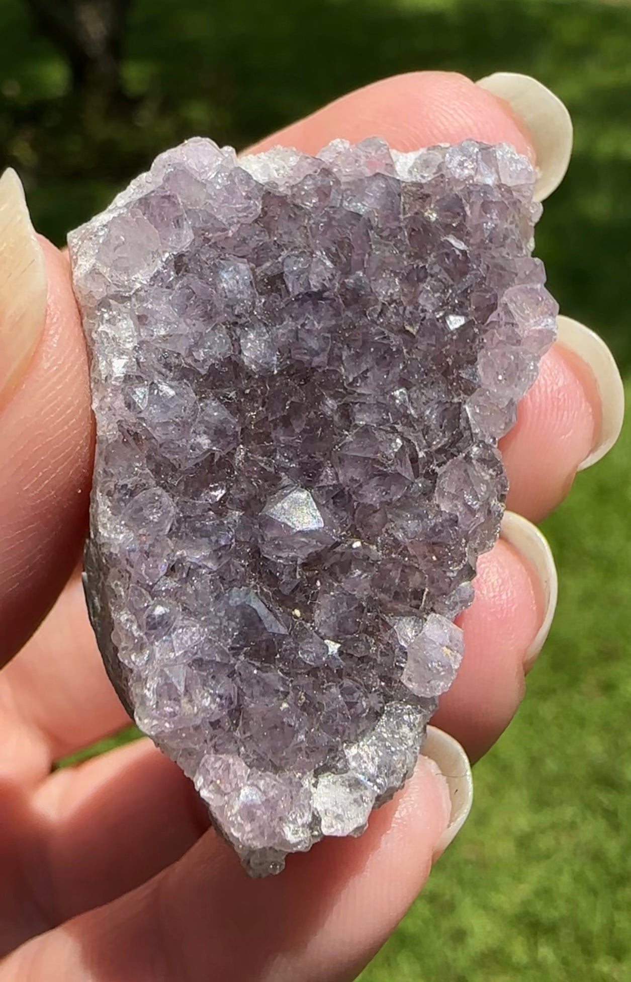 Amethyst Cluster Specimen #14