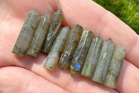 Small Labradorite Points