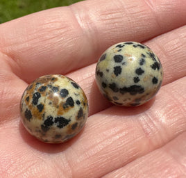 Dalmation Jasper Spheres 10-12mm Avg