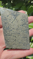 Free Form Pyrite Flowers Symbiosis Mixed Agate Slab #4