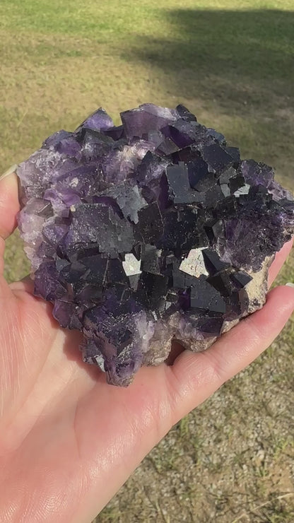 Dark Purple Fluorite Specimen – Melchor Muzquiz, Coahuila, Mexico