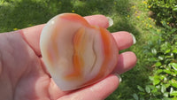 Carnelian Heart Palm Stone #5