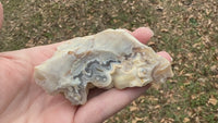 Savannah River Agate Specimen #44