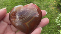 Carnelian Heart Palm Stone #12