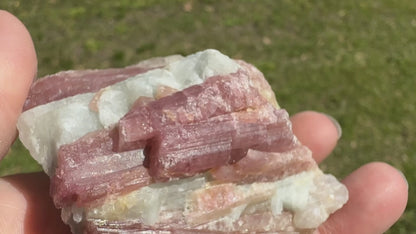 Tourmaline vr Rubellite Minas Gerais, Brazil