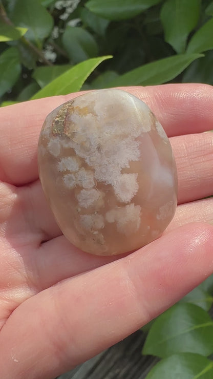 Flower Agate Palm Stone