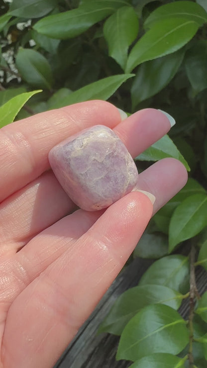 Lepidolite Square Tumble