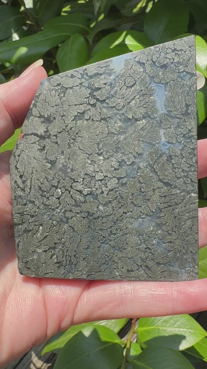 Free Form Pyrite Flowers Symbiosis Mixed Agate Slab #3