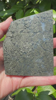 Free Form Pyrite Flowers Symbiosis Mixed Agate Slab #3