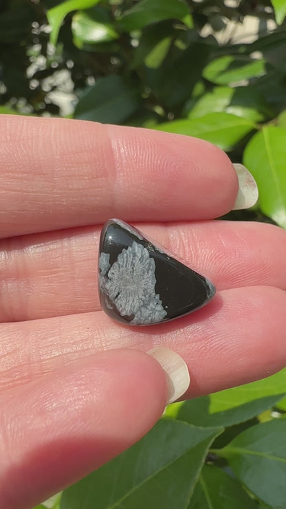 Snowflake Obsidian Tumble