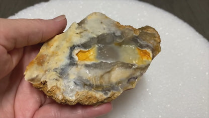 Savannah River Agate Specimen #29