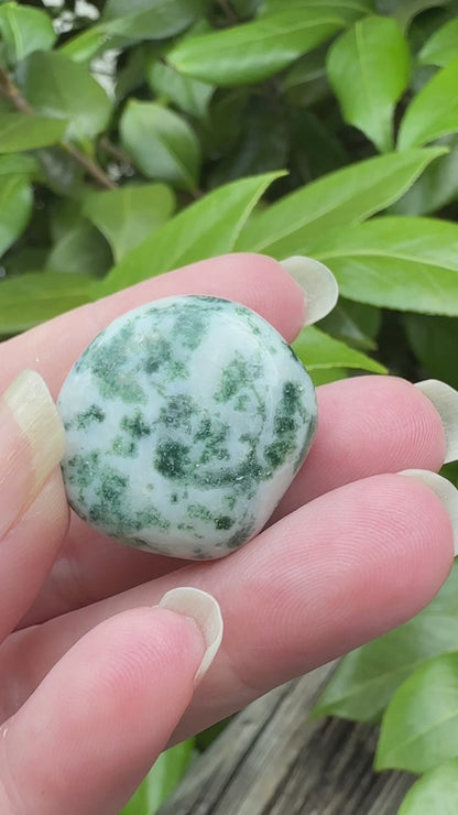 Tree Agate Tumble