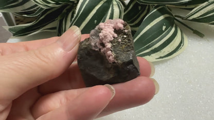 Rhodochrosite, Quartz, Pyrite, Santa Eulalia – Chihuahua, Mexico #6