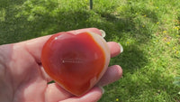 Carnelian Heart Palm Stone #6