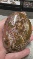 Large Ocean Jasper Palm Stone