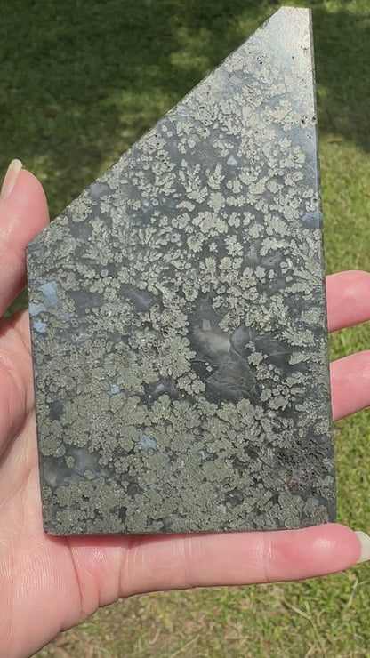 Free Form Pyrite Flowers Symbiosis Mixed Agate Slab #2