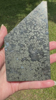 Free Form Pyrite Flowers Symbiosis Mixed Agate Slab #2