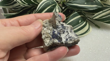 Azurite Specimen #3 Morenci, Az