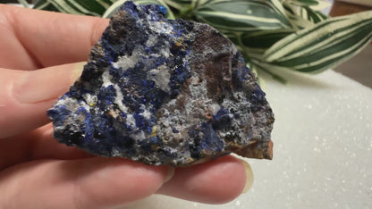 Azurite Specimen #2 Sierra Rica Chihuahua, Mexico