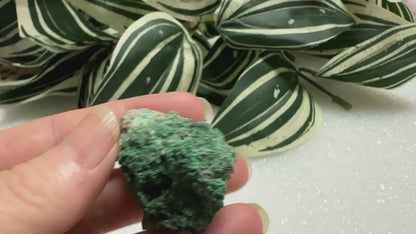 Malachite Specimen #8 Zacatecas, Mexico